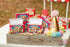 Mommies and Babies Vintage Animal Cracker Favor Boxes, Pink