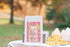 Lemonade Mason Jar Birthday Party Favor Bags Sip and See Favors Popcorn Bags