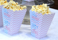 Gender Reveal Party Popcorn Boxes, Baby Sex Unknown Shower, Popcorn Box Favors, Popcorn Bar, Candy Bar, Pink and Blue Boxes, Boy or Girl