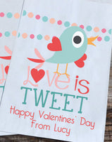 Birdie Love is Tweet Valentines Day Personalized Goodie Bags | Valentine's Day Party Favors Bags | Bird Valentine Goody Bags | Paper Bags